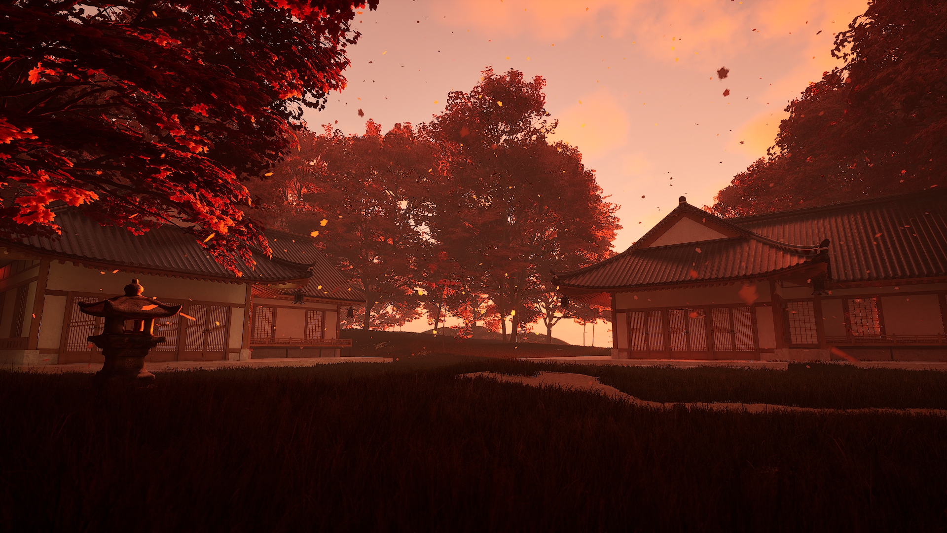 Experience Background